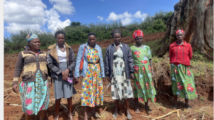 benet twoooo-hAWaesdeTK.png